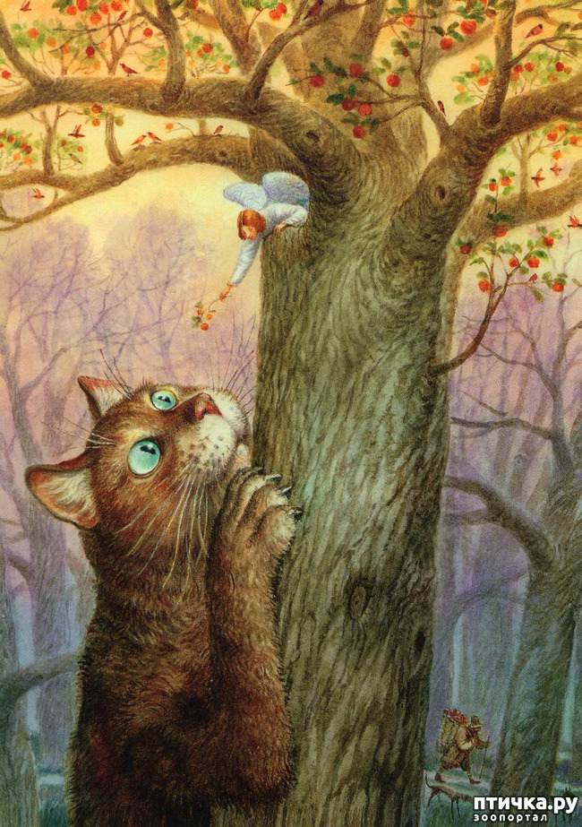 ���� 33: ������������