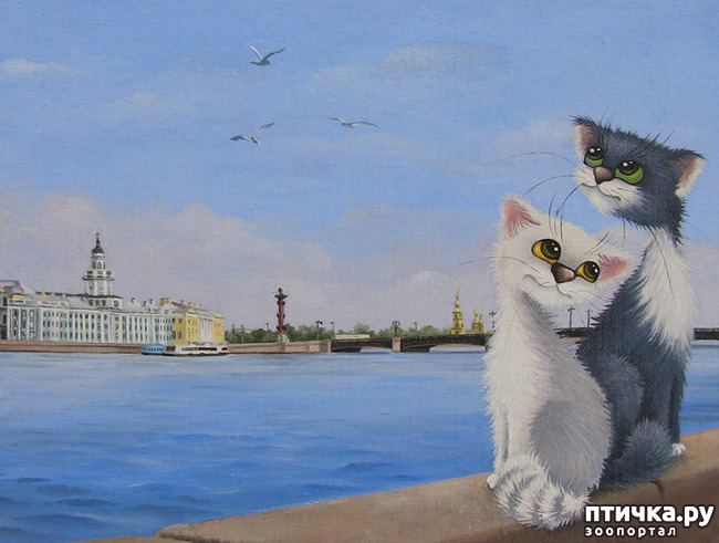 ���� 35: ������������