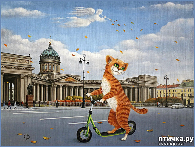 ���� 31: ������������