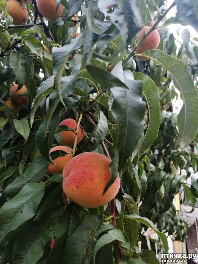 ���� 1: ��, ����, ����... ��� ������ �� ������.