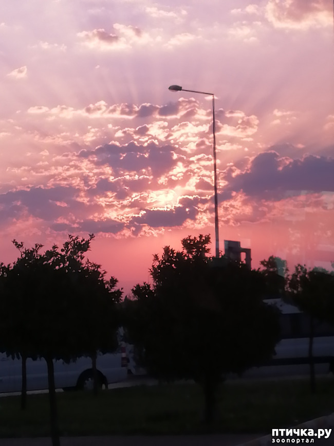 ���� 2: ��, ����, ����... ��� ������ �� ������.