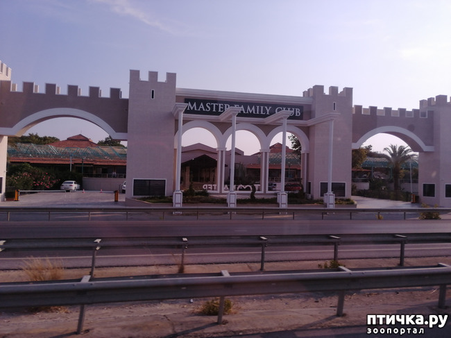 ���� 3: ��, ����, ����... ��� ������ �� ������.