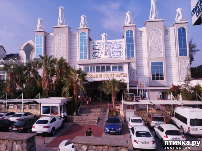 ���� 4: ��, ����, ����... ��� ������ �� ������.