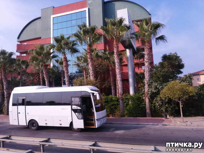 ���� 5: ��, ����, ����... ��� ������ �� ������.