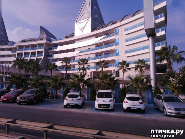 ���� 6: ��, ����, ����... ��� ������ �� ������.