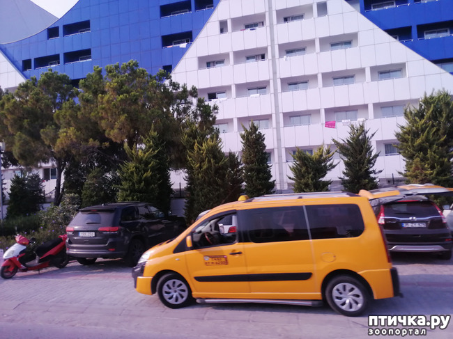 ���� 7: ��, ����, ����... ��� ������ �� ������.