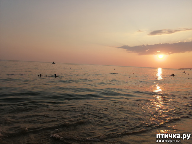 ���� 8: ��, ����, ����... ��� ������ �� ������.