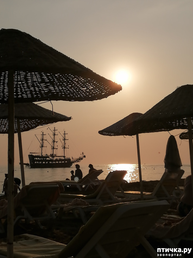 ���� 9: ��, ����, ����... ��� ������ �� ������.