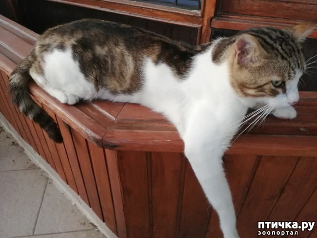 ���� 12: ��, ����, ����... ��� ������ �� ������.