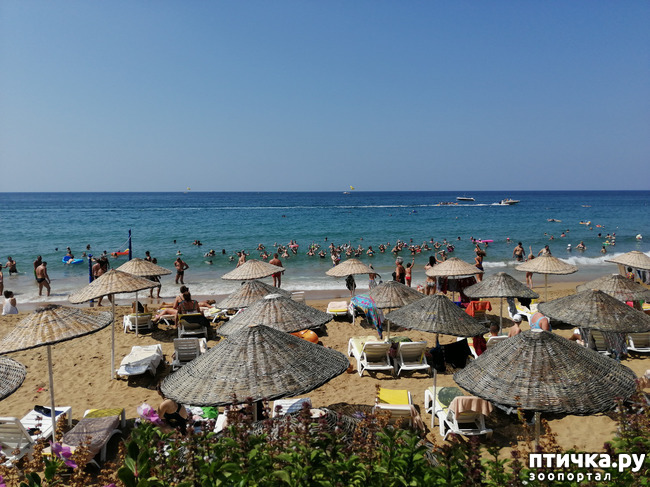 ���� 10: ��, ����, ����... ��� ������ �� ������.