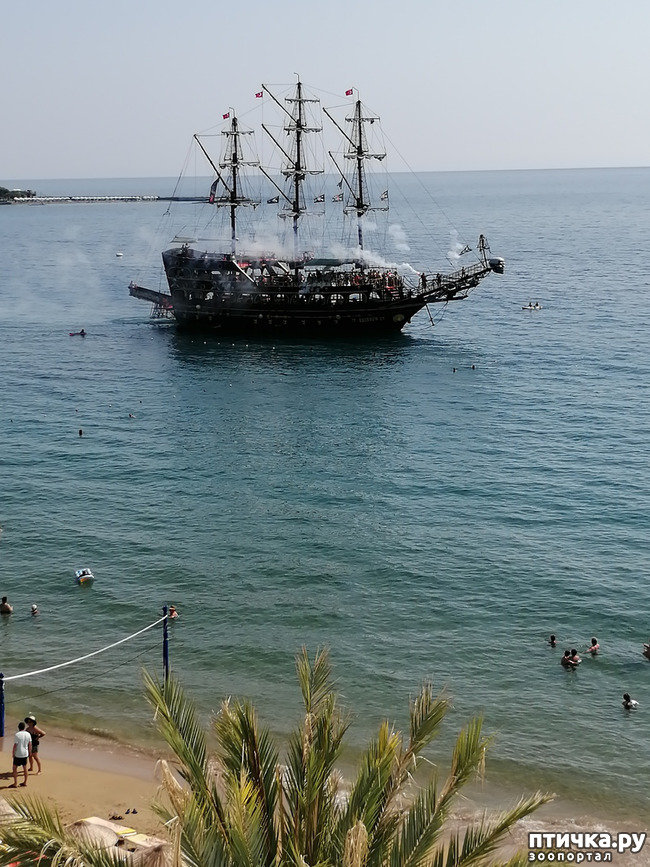 ���� 13: ��, ����, ����... ��� ������ �� ������.