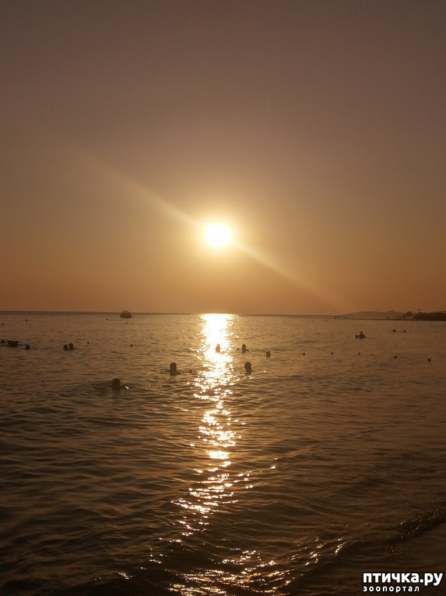 ���� 17: ��, ����, ����... ��� ������ �� ������.