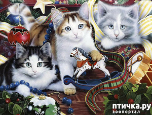 ����: �������� �� �������� ��������� ������ �������