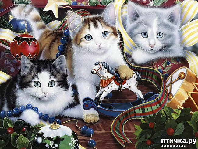 ���� 1: �������� �� �������� ��������� ������ �������