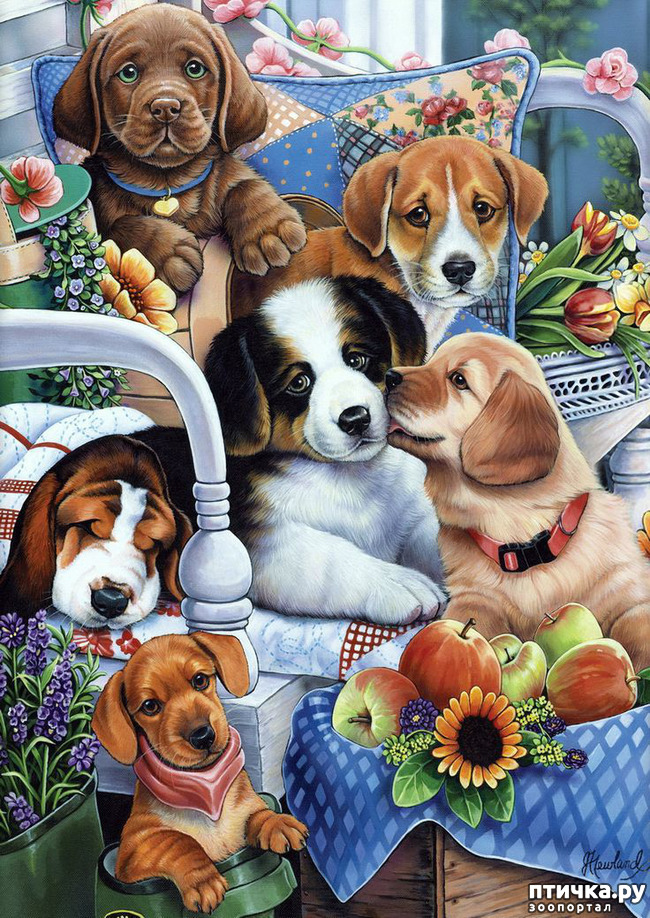 ���� 2: �������� �� �������� ��������� ������ �������