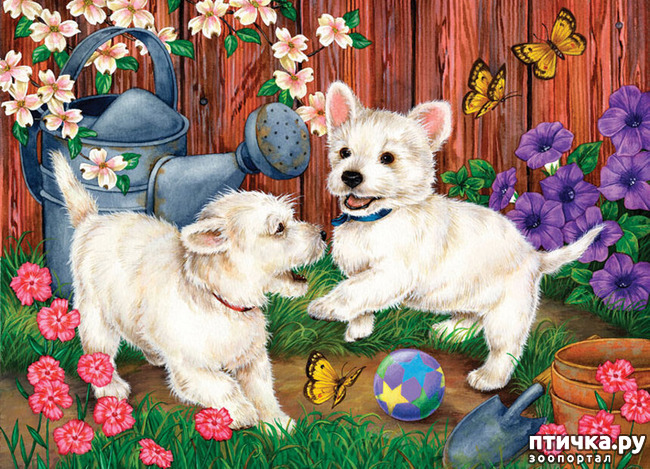 ���� 3: �������� �� �������� ��������� ������ �������