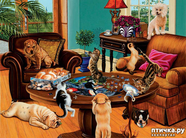 ���� 5: �������� �� �������� ��������� ������ �������