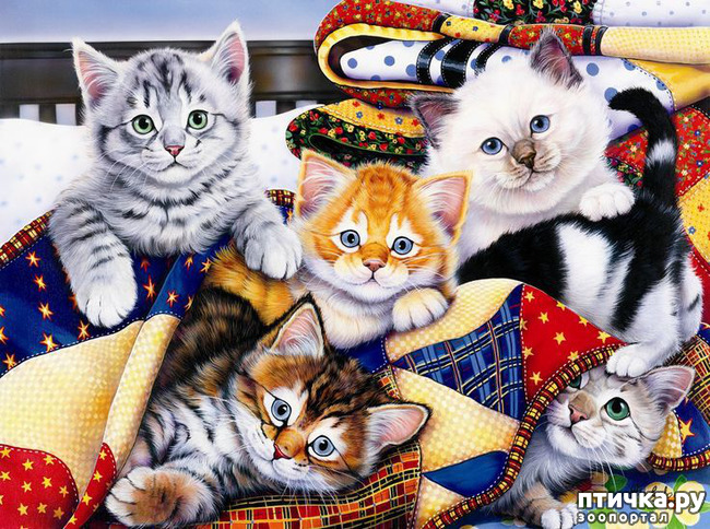 ���� 6: �������� �� �������� ��������� ������ �������