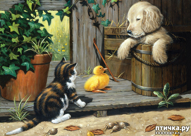 ���� 7: �������� �� �������� ��������� ������ �������