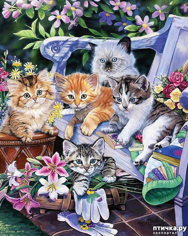 ���� 8: �������� �� �������� ��������� ������ �������