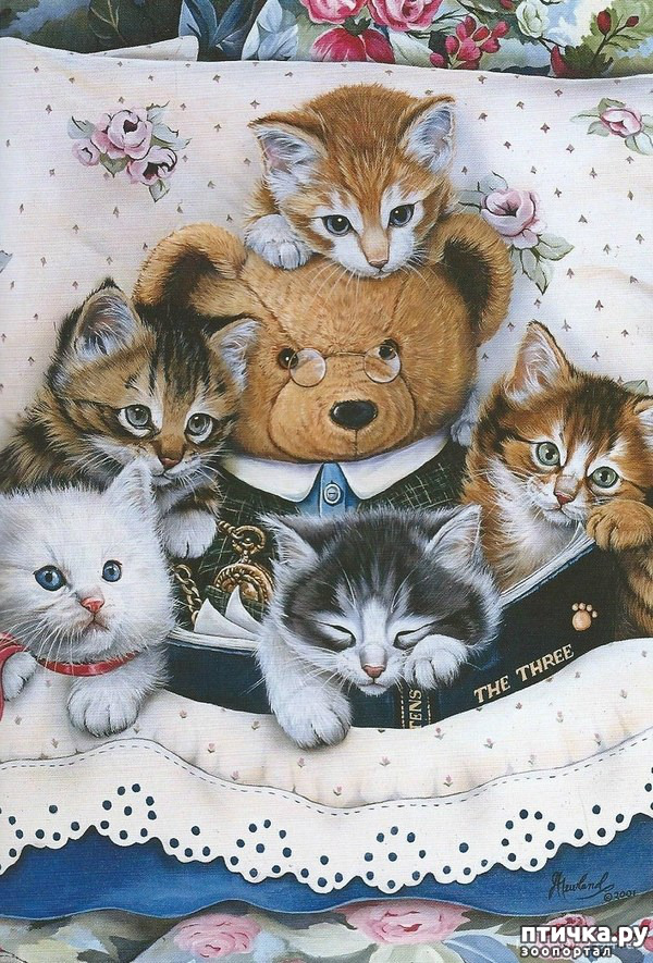 ���� 10: �������� �� �������� ��������� ������ �������