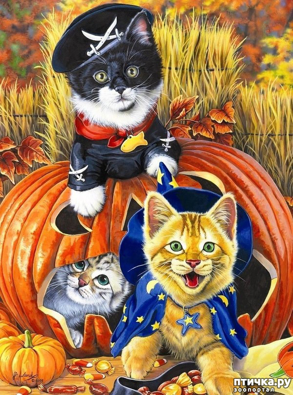 ���� 11: �������� �� �������� ��������� ������ �������