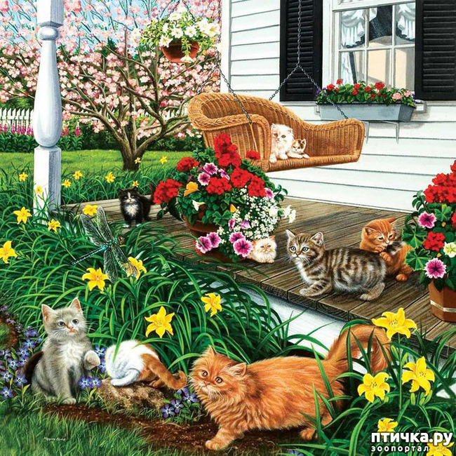 ���� 13: �������� �� �������� ��������� ������ �������