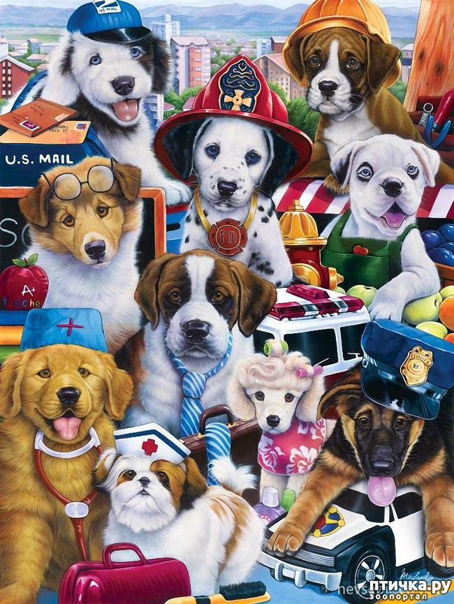 ���� 15: �������� �� �������� ��������� ������ �������