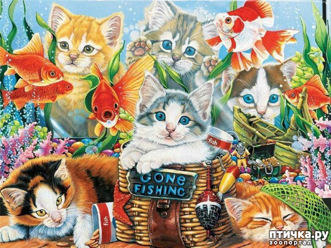 ���� 16: �������� �� �������� ��������� ������ �������