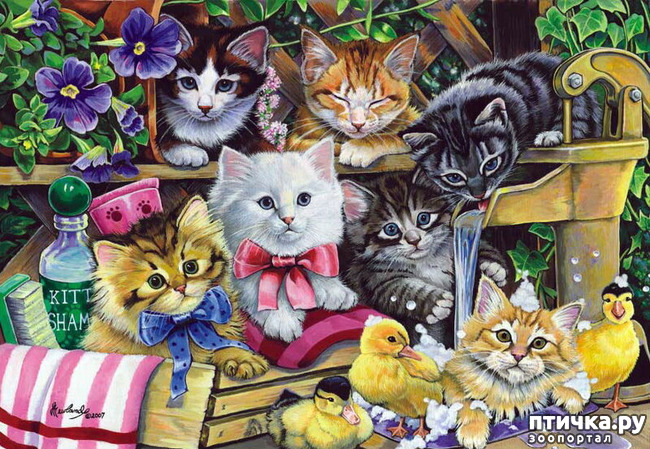 ���� 17: �������� �� �������� ��������� ������ �������