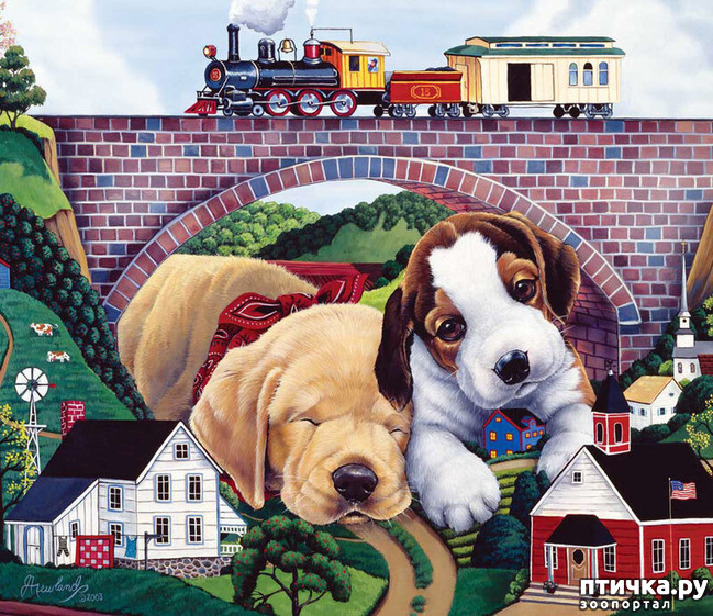 ���� 19: �������� �� �������� ��������� ������ �������