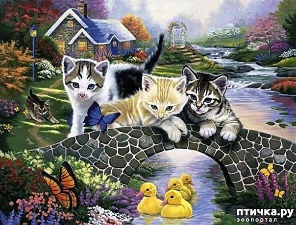 ���� 20: �������� �� �������� ��������� ������ �������