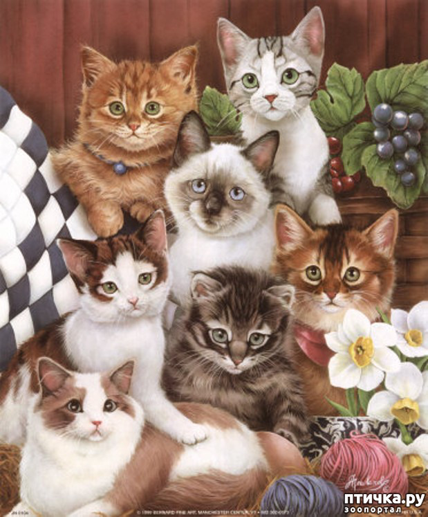 ���� 21: �������� �� �������� ��������� ������ �������