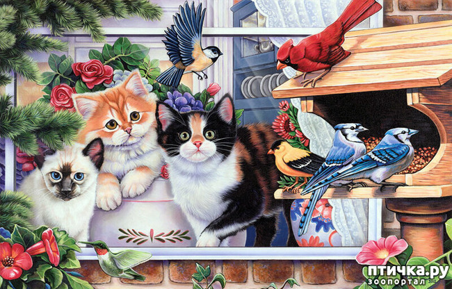 ���� 22: �������� �� �������� ��������� ������ �������