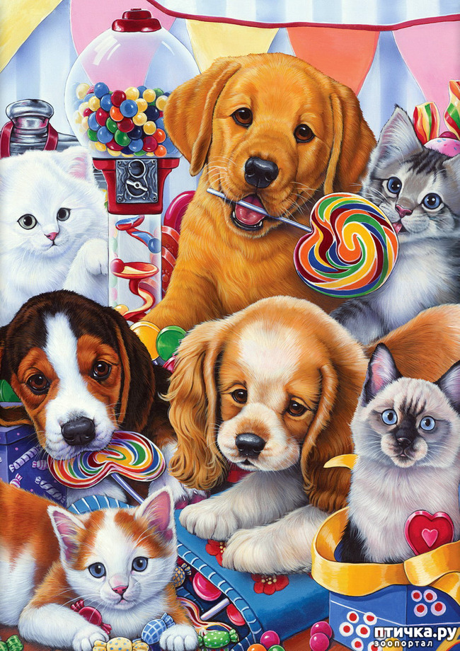 ���� 25: �������� �� �������� ��������� ������ �������