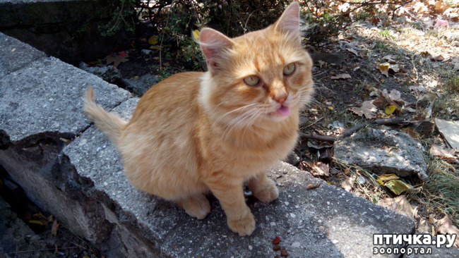 ���� 1: ������