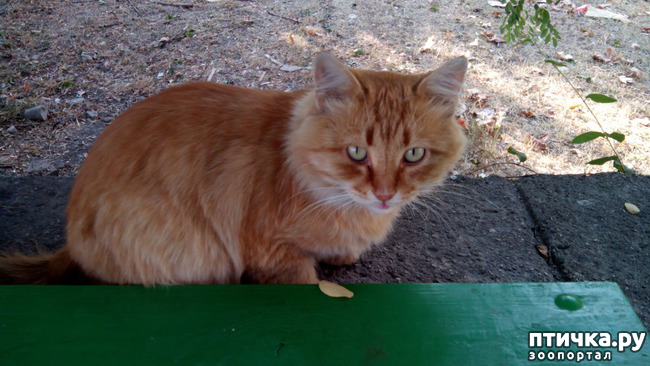 ���� 3: ������