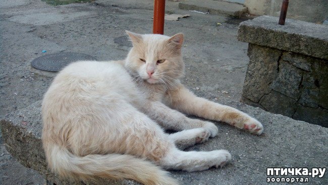 ���� 5: ������