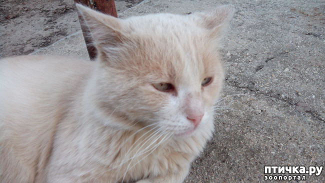 ���� 6: ������