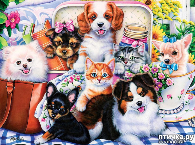 ���� 24: �������� �� �������� ��������� ������ �������