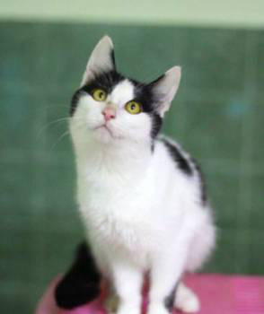 ����: ������ ������ "����������� �������"