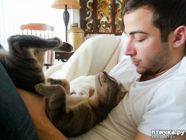 ���� 7: ���� � ����