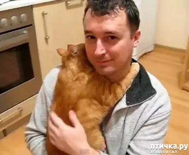 ���� 4: ���� � ����