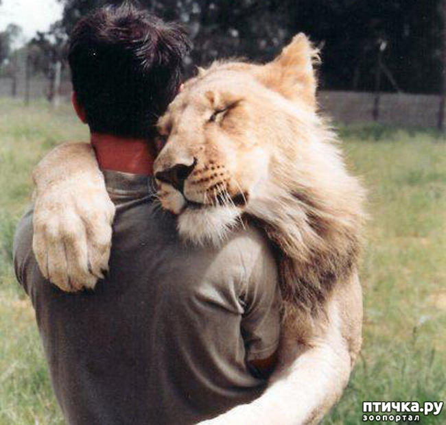 ���� 2: ���� � ����