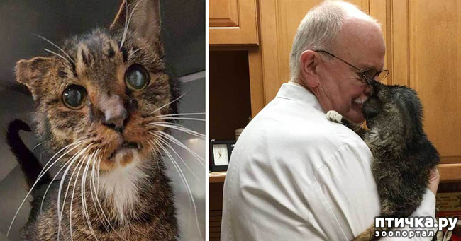 ���� 9: ���� � ����