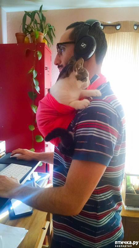 ���� 11: ���� � ����