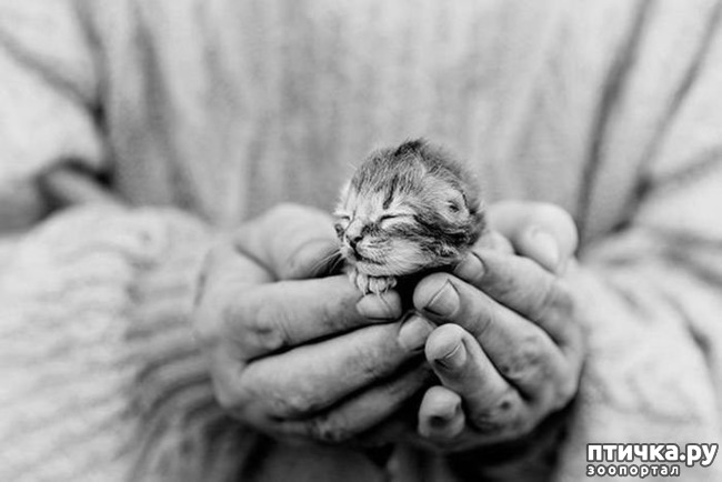 ���� 12: ���� � ����