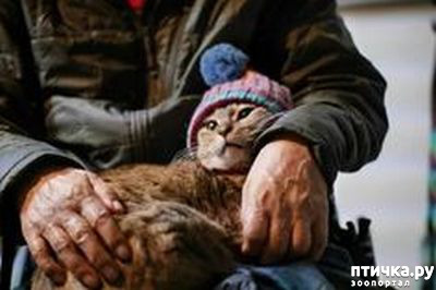 ���� 13: ���� � ����