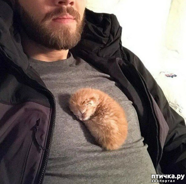 ���� 3: ���� � ����