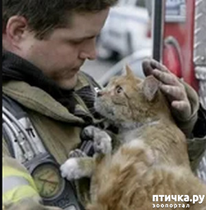 ���� 8: ���� � ����